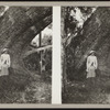 Woman sitting under the tree.