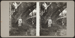 Woman sitting under the tree.
