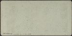 E. Scholl's Residence, Rye, N.Y.