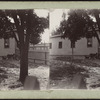 View of dogs standing near the fence.