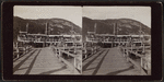 Lona Island Dock.