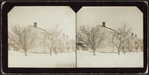Winter scene.