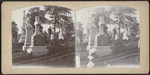 Woodlawn Cemetery.