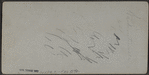 View of Washingtonville, N.Y.
