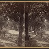 Main Street, Greenwich, N.Y.