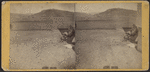 Lake Champlain, Whitehall, N.Y., with baby in carriage.