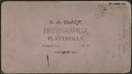 Minekill Falls, Schoharie Co., N.Y.