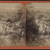 Minekill Falls, Schoharie Co., N.Y.