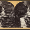 Sylvan [Kaaterskill] Cascade, Catskill.