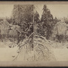 Winter scene in the Catskill Mountains.