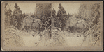 Winter scene in the Catskill Mountains.