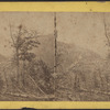 The Catskill.