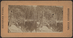 South Lake, Catskill Mountains.