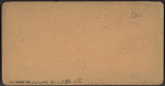 Laurel House, Catskill Mountains.