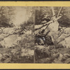 Man sitting atop a fallen tree trunk.