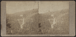 Catskill Falls and Laurel House, from Prospect Rock, Catskill Mt.