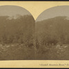 Catskill Mountain House," Catskill Mountains, N.Y.