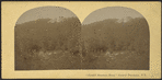 Catskill Mountain House," Catskill Mountains, N.Y.