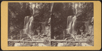 View of the Falls, Willowemoc, New York.