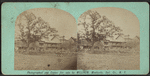 Lake House, Pleasant Lake, Sullivan Co. N.Y.