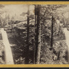 The Kauterskill Fall.