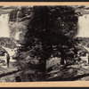 Kauterskill Fall, from from below the Second Fall.