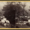 View in the Kauterskill Gorge.