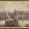 View on the South Lake, Catskill Mountain.