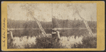 View on the South Lake, Catskill Mountain.