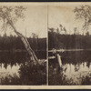 View on the South Lake, Catskill Mountain.