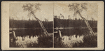 View on the South Lake, Catskill Mountain.