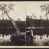 View on the South Lake, Catskill Mountain.