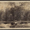 View near Kauterskill Falls.