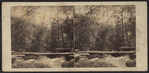 View near Kauterskill Falls.
