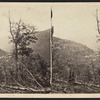 View near Kauterskill Falls.