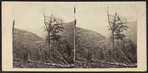 View near Kauterskill Falls.
