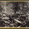The Bastion Fall, Kauterskill Glen, near the Laurel House.