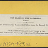 The Bastion Fall, Kauterskill Glen, near the Laurel House.