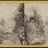 Ice and snow scene in the Catskills.