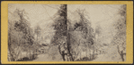 Ice and snow scene in the Catskills.
