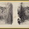 Ice and snow scene in the Catskills.