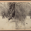 Ice and snow scene in the Catskills.