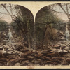 Scene in the Plauterkill Gorge, Catskill Mountains.