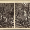 Scene in the Catskill Mountains, after a flood.