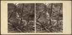 Scene in the Catskill Mountains, after a flood.