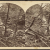 Scene in the Catskill Mountains, after a flood.
