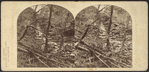 Scene in the Catskill Mountains, after a flood.