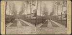View of a paved walk with cadets lined up along border of trees.