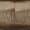 ron R.R. Bridge over Watkins Glen.  Big Stream trestle.