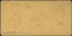 Firemen's Review, Walden, Orange Co., N.Y.